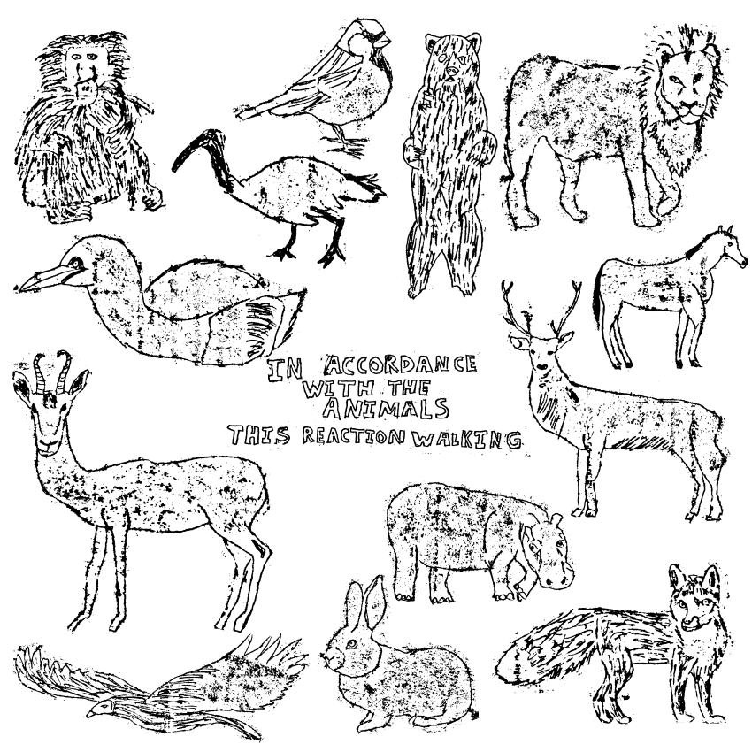 In Accordance With The Animals